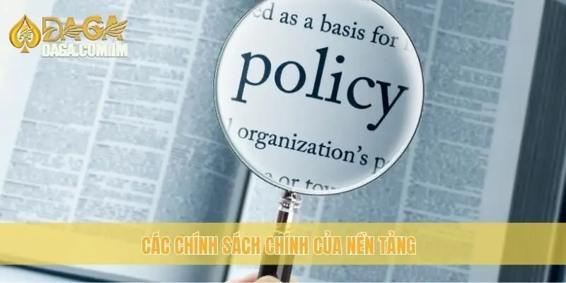 Các chính sách chính của nền tảng