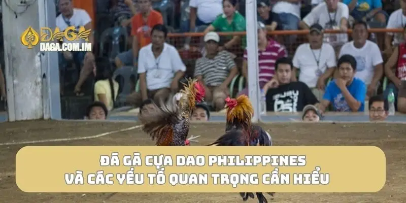 Đá gà cựa dao Philippines
