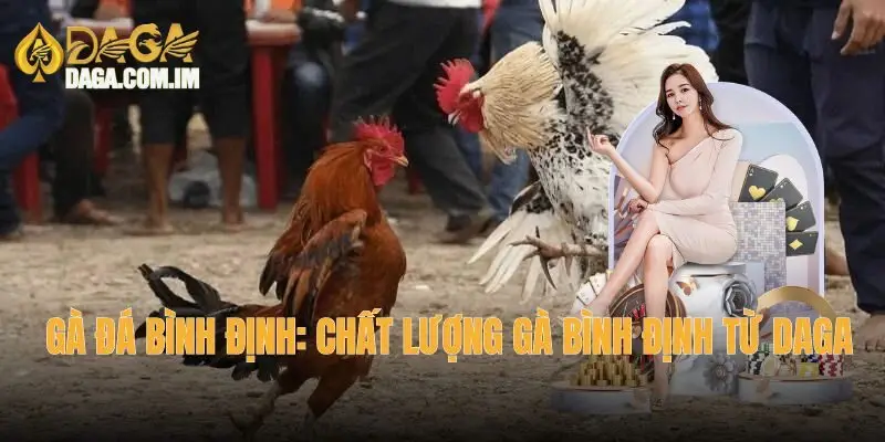 Gà đá Bình Định