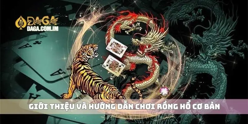 Giới thiệu và hướng dẫn chơi Rồng Hổ cơ bản