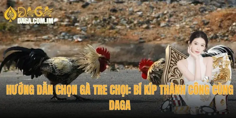 hướng dẫn chọn gà tre