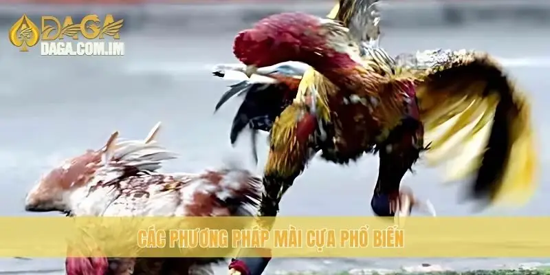 Các phương pháp mài cựa phổ biến