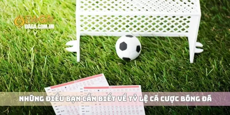 Những điều bạn cần biết về tỷ lệ cá cược bóng đá